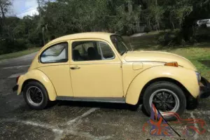 1972 Volkswagen Beetle - Classic Photo