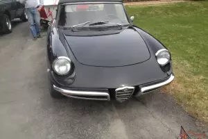 Alfa Romeo Duetto Low Reserve