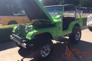 1975 Jeep CJ Photo