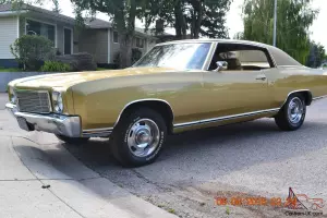 Chevrolet: Monte Carlo Base Hardtop 2-Door