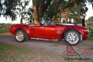 1966 Shelby COBRA Photo