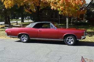 1966 GTO Convertible