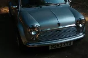 Mini 25