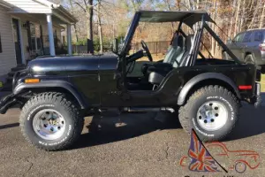 1979 Jeep CJ Photo