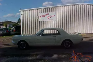 Ford : Mustang COUPE Photo