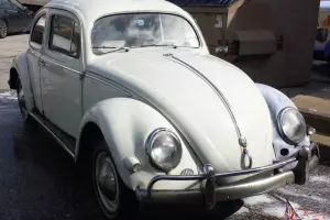 Bug VW Sedan Oval window, very clean