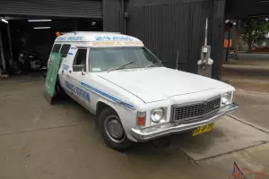 Holden Panel VAN in North Albury, NSW