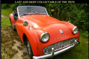 Triumph : Other Orange