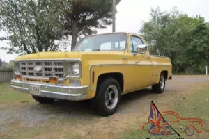 1977 Chevrolet Other Pickups