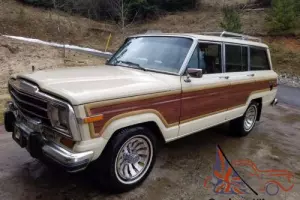 1986 Jeep Wagoneer Photo