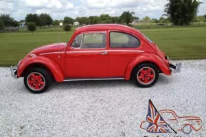 1966 Volkswagen Beetle - Classic