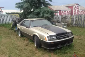 Ford : Mustang Pace Car Edition