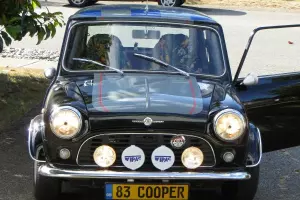 Completely Devoid of German Parts