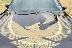 1981 Pontiac Turbo Trans Am