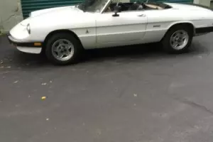 1986 Alfa Romeo Spider Photo