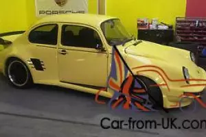  beetle 