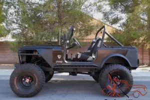 1979 Jeep CJ Custom Classic Photo
