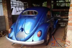 RHD VW 1956 Oval Deluxe model Classic Beetle Photo