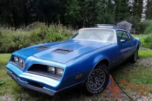 Pontiac Firebird. 1978. Formula 400. Photo