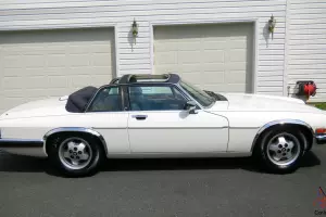 Jaguar : XJS XJS-C TARGA TOP SPECIAL EDITION
