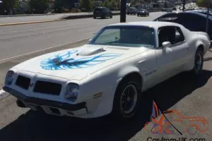 1974 Pontiac Trans Am Photo