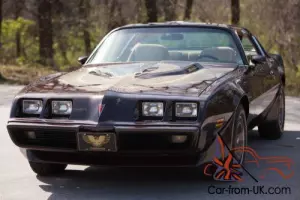 1981 Pontiac Trans Am