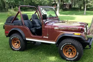 *** 1979 Jeep CJ5 Golden Eagle *** Photo