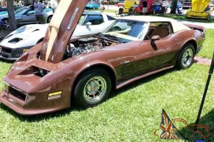 Hot Rod Muscle Car, Show Car, Go Fast Car, C3 Stroker !