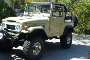 Toyota : Land Cruiser 4X4