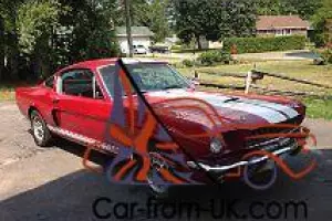 Shelby : GT350 2DR Photo