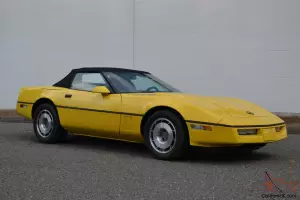 Chevrolet : Corvette Leather