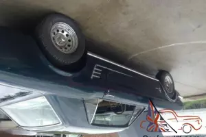 Mustang 66 Photo