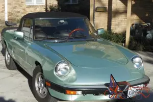 1985 Alfa Romeo Spider