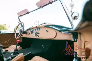 1965 Shelby Cobra Backdraft