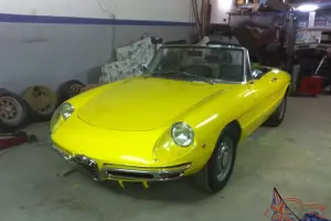  Alfa Romeo Duetto Spider Boat Tail Round Tail Osso di Seppia For Sale (1968) 