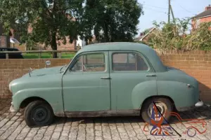 Standard 10 Green