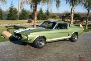 1967 Shelby GT 500