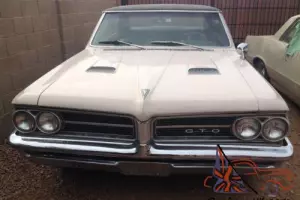1964 Pontiac GTO GTO Photo