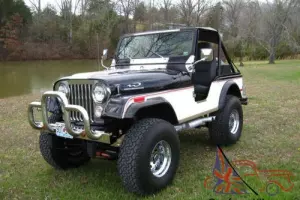 1977 Jeep CJ Photo