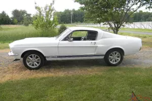 67 mustang fastback shelby restomod Photo