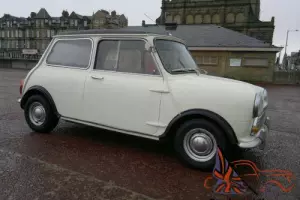  Morris MINI COOPER 