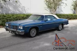 1975 Oldsmobile Delta Eighty-Eight Photo