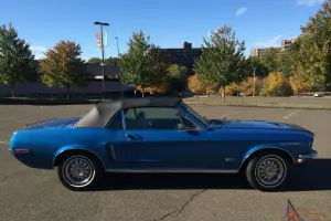 Ford : Mustang Base