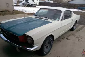 Ford : Mustang Fastback