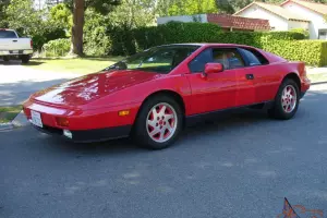 Collector Quality  Lotus Turbo Esprit   25,000 Original Miles Major Service Done