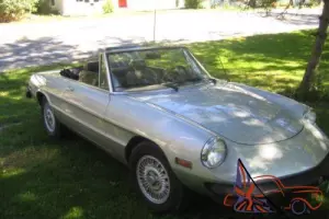 1977 Alfa Romeo Spider