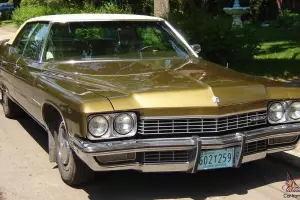 Buick : Electra