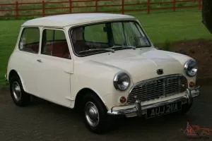 Austin Mini super deluxe Photo