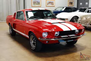 1967 Shelby Photo