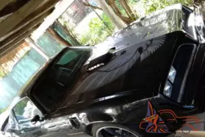 1981 Pontiac Trans Am
